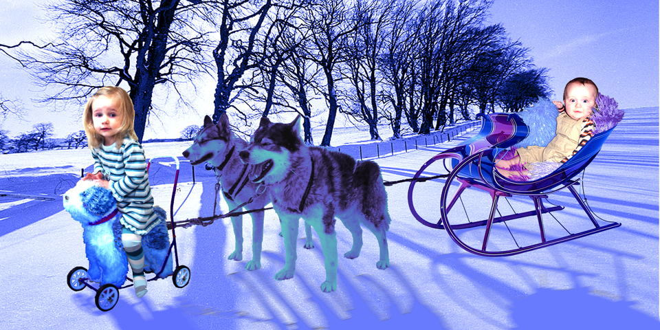 Esm&eacute; rides 'dog on wheels', guiding two huskies who help pull a purple and blue sleigh; in which Otto sits, surrounded by fluffies; through a winter wonderlandscape