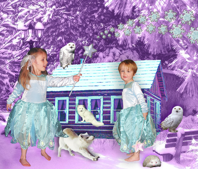 Esme and Otto are snow fairies bring the joys of winter to the woodland animals and the shed
