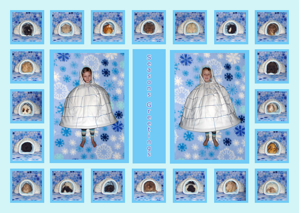 everyone's got their own igloo and it's a cosy cosy christmas